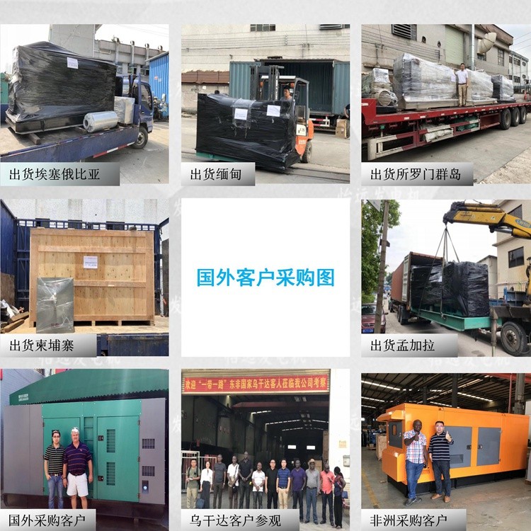 非洲發(fā)電機組供應(yīng),南非發(fā)電機